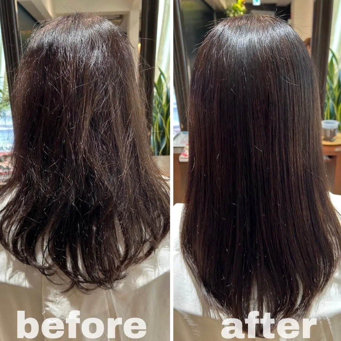 セミロング Alegria アレグリアのヘアスタイル