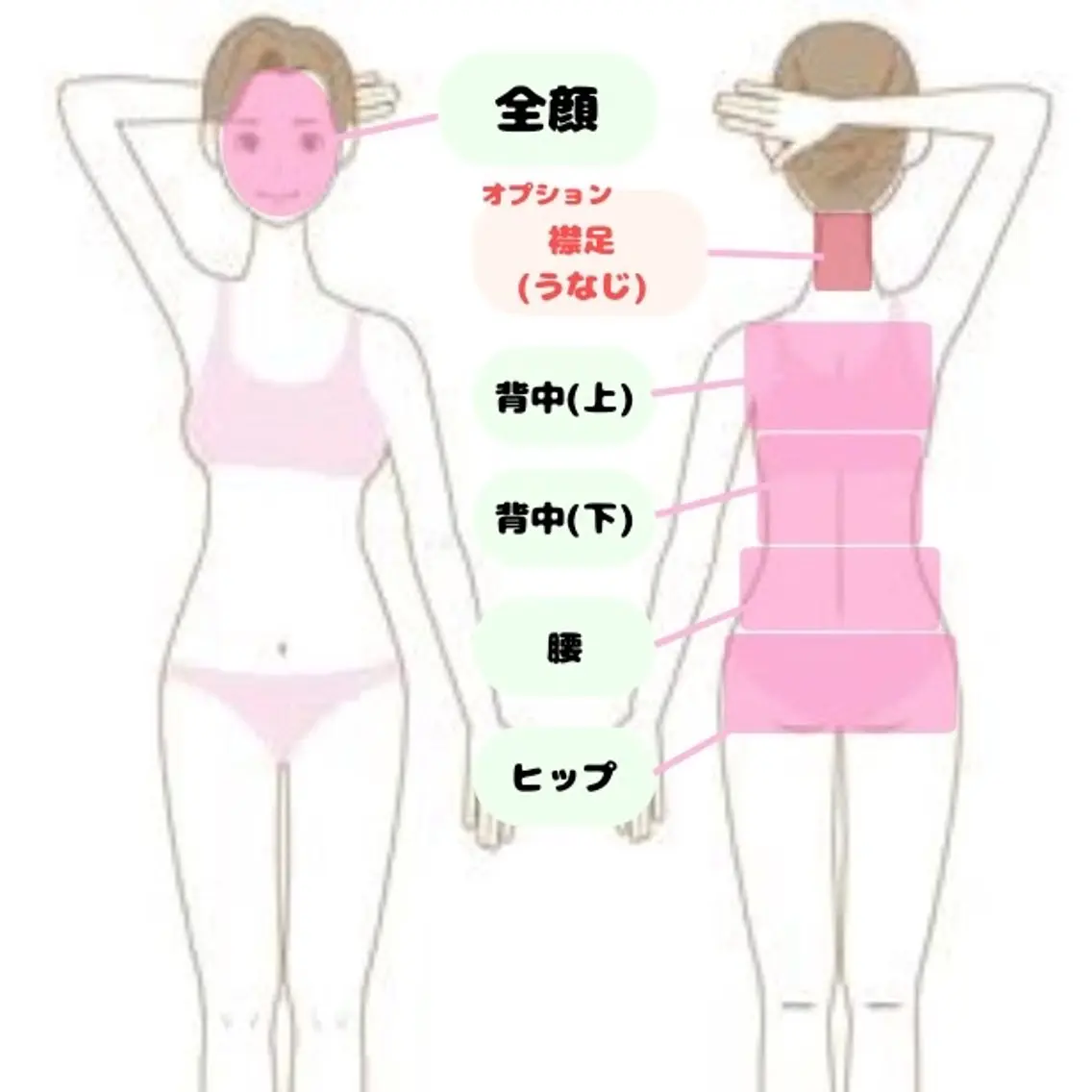 【部分脱毛☘️】 1回¥2,200 お顔、背中(上,下)、腰、ヒップ☘️の写真