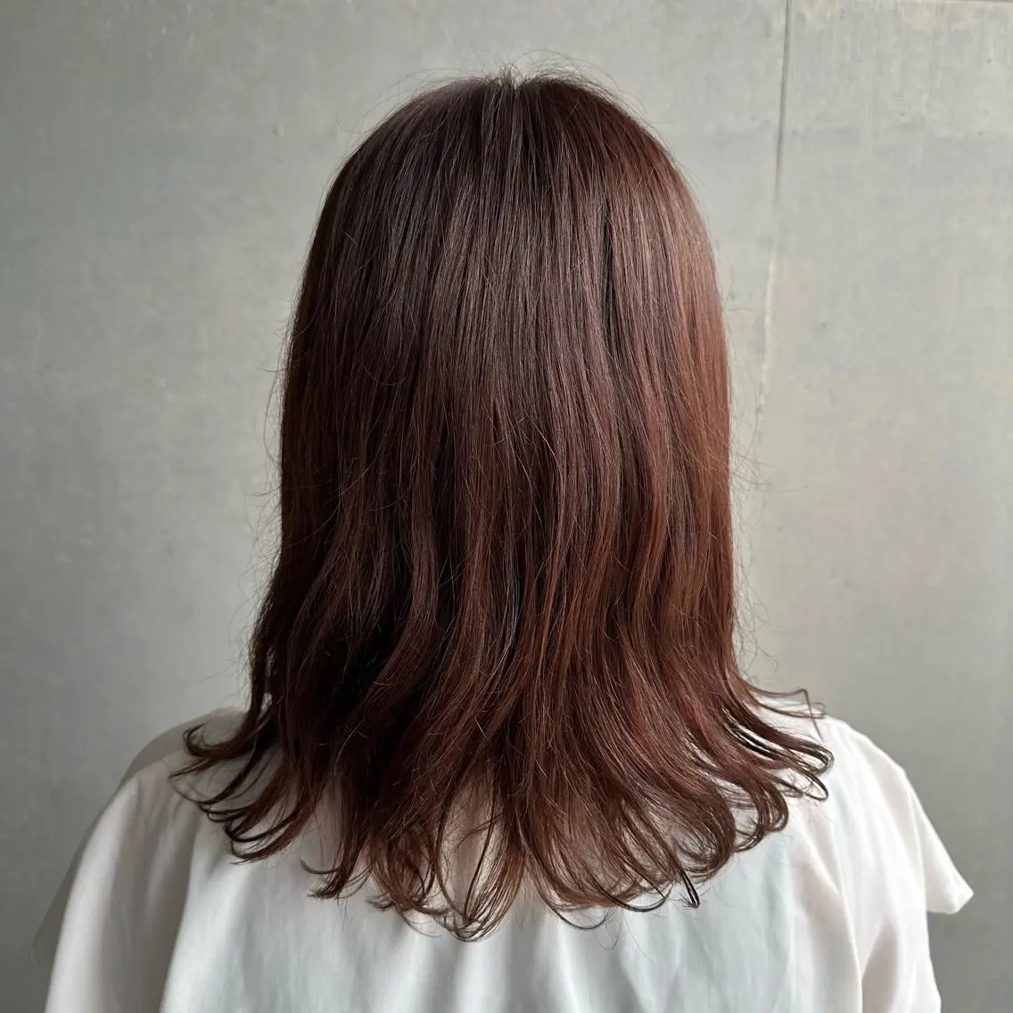 ミディアム カラー カット ヘアカラー 💜推しインナー カラー/菊池柊真💜のヘアスタイル