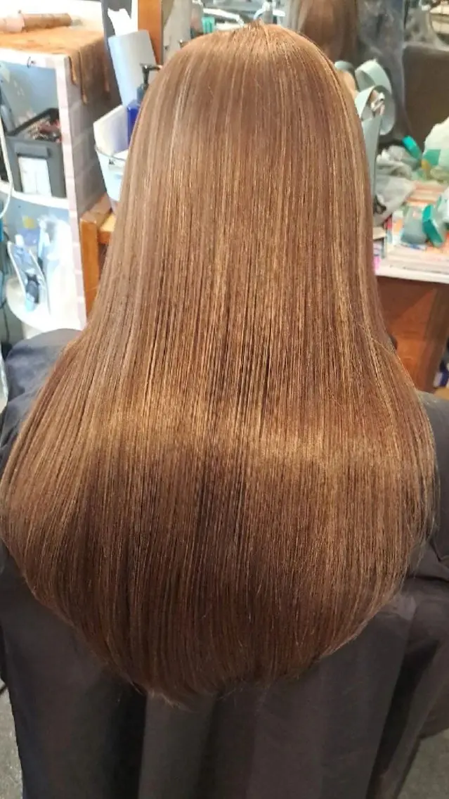 カラー グラッド ヘアーのヘアスタイル