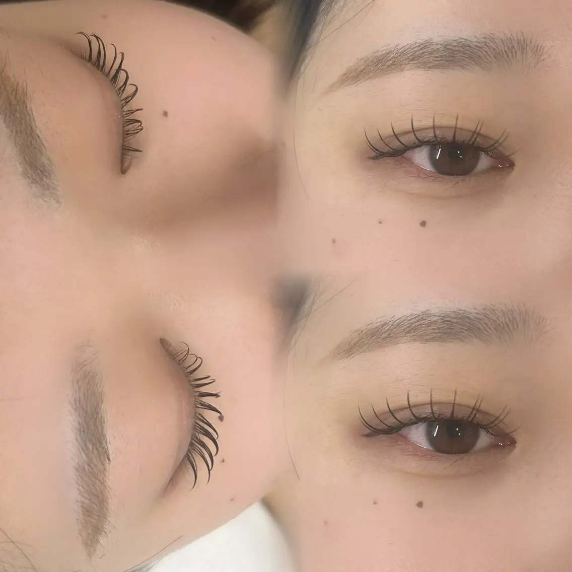 マツエク・マツパ マツエク 【EYELA】 ミコのマツエク・マツパデザイン