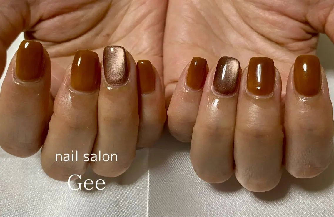 ネイル ブラウン マグネットネイル nail salon geeのネイルデザイン