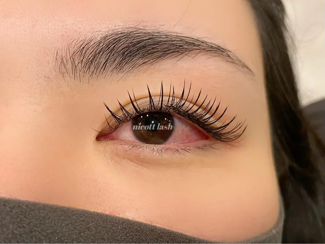 マツエク・マツパ 付け放題 フラットラッシュ セーブル デイジーラッシュ 天王寺　南のマツエク・マツパデザイン