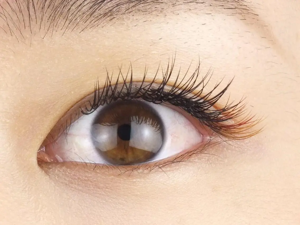 マツエク・マツパ riche beautyPLUSのエステ・リラクイメージ