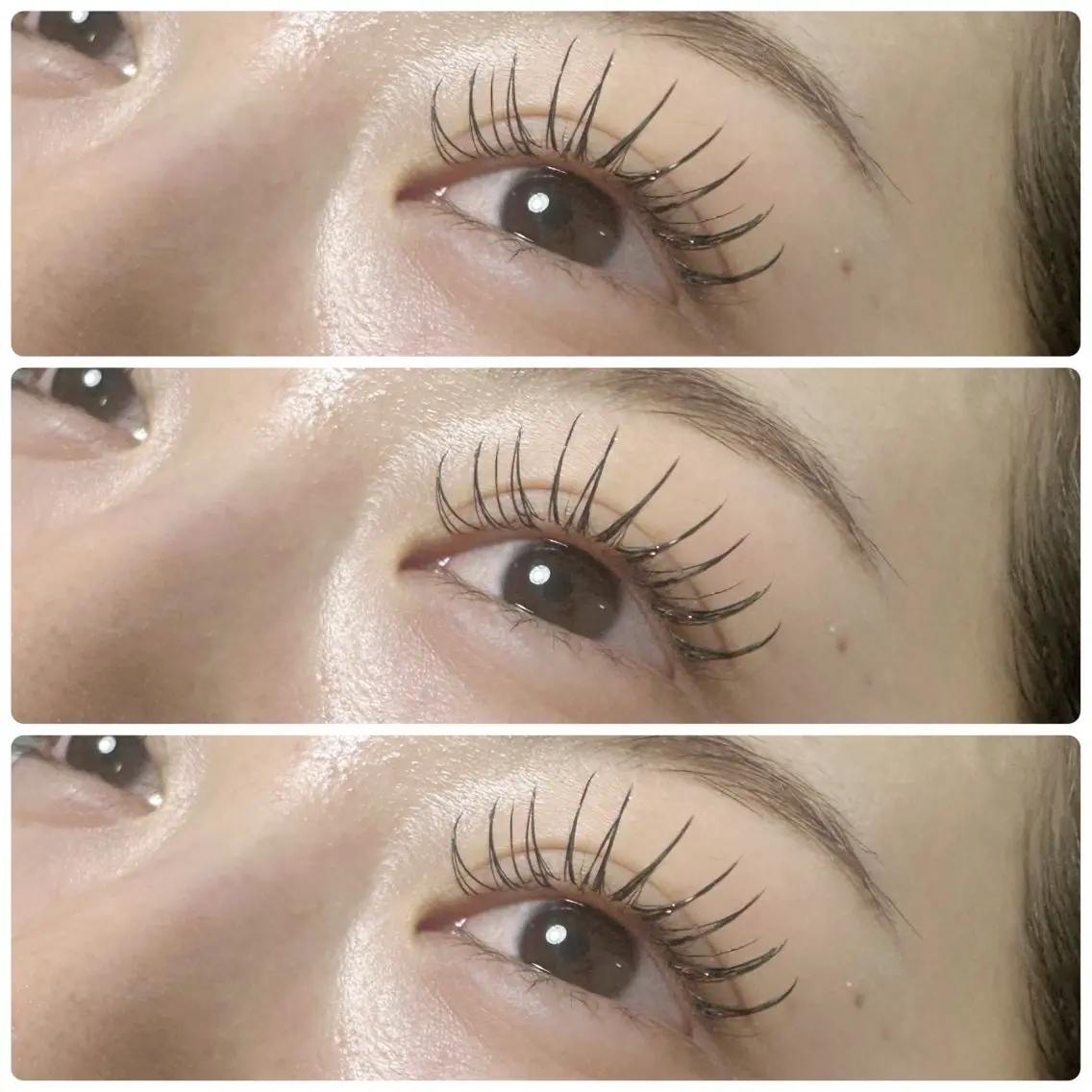 マツエク・マツパ plume eyelashのマツエク・マツパデザイン