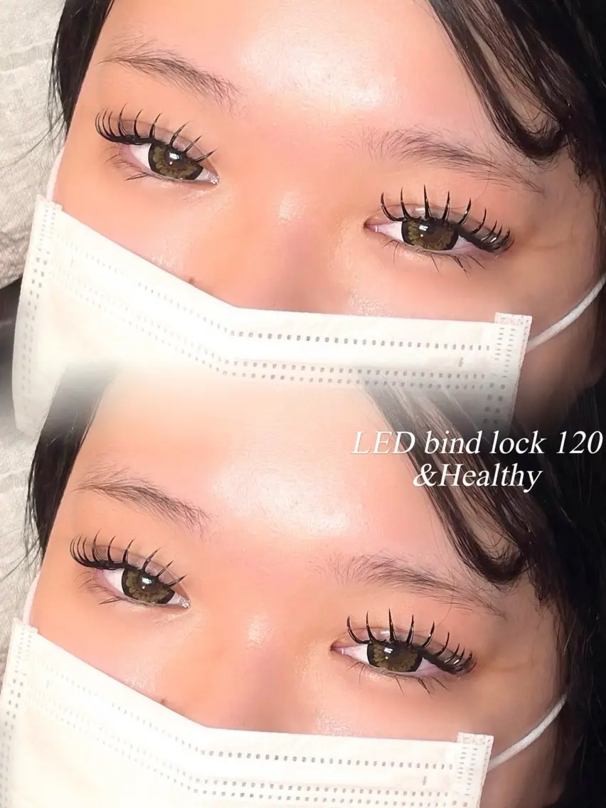 🌱&Healthy × LEDバインド120束🌱の写真