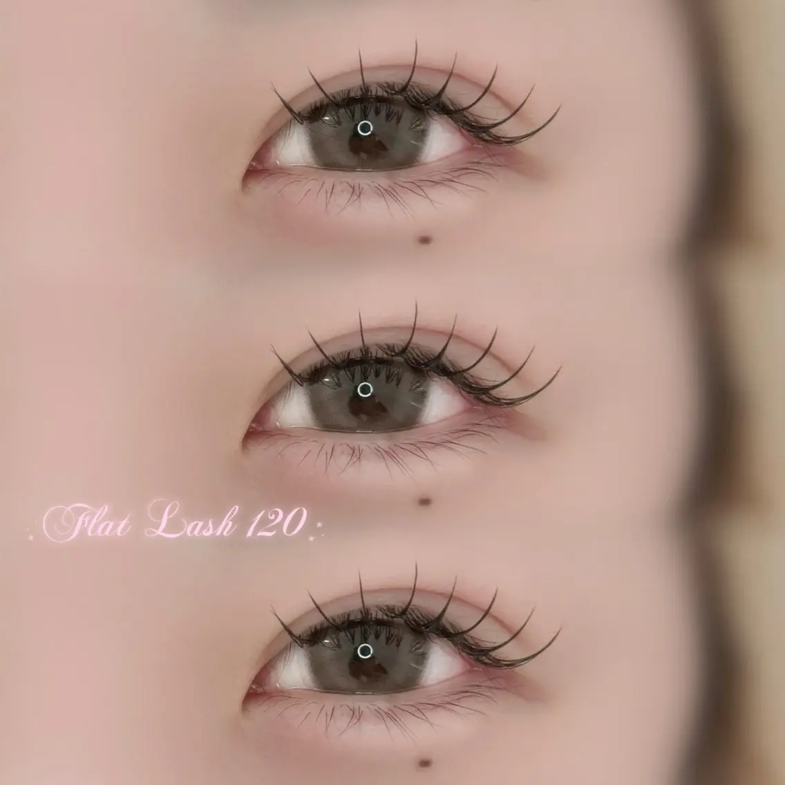 フラットラッシュ120本🎀(片目60本ずつ)の写真
