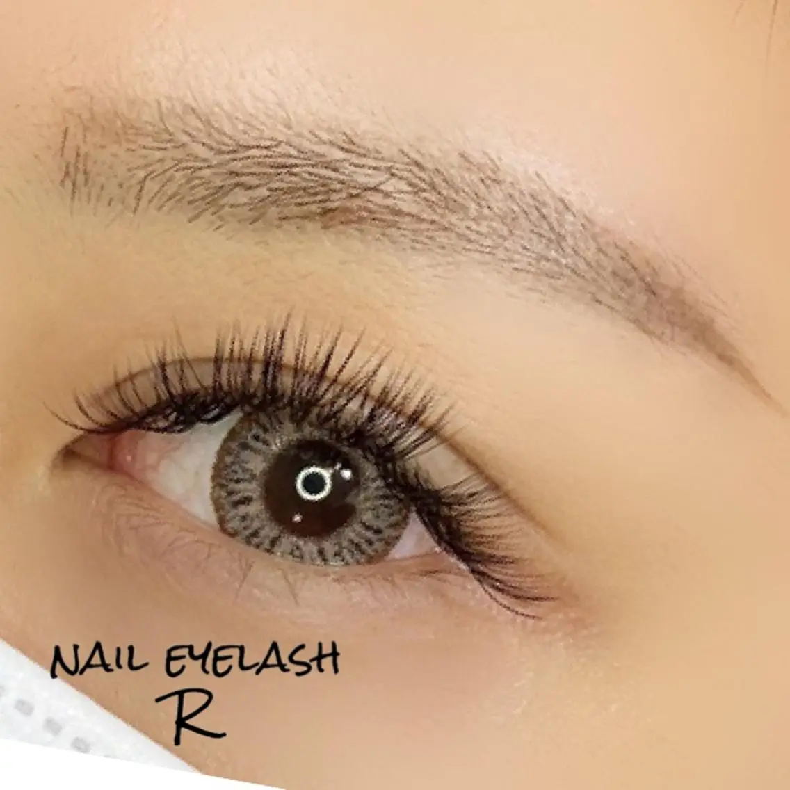 マツエク・マツパ ボリュームラッシュ eyelash R𓇼eri🐈️の眉毛・アイブロウイメージ
