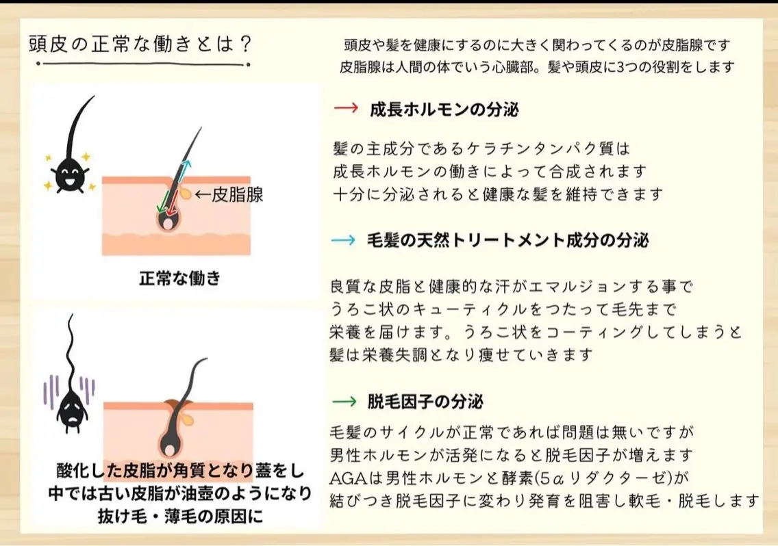 一切ハサミは持たず 髪質改善のみ🌱古川のその他イメージ