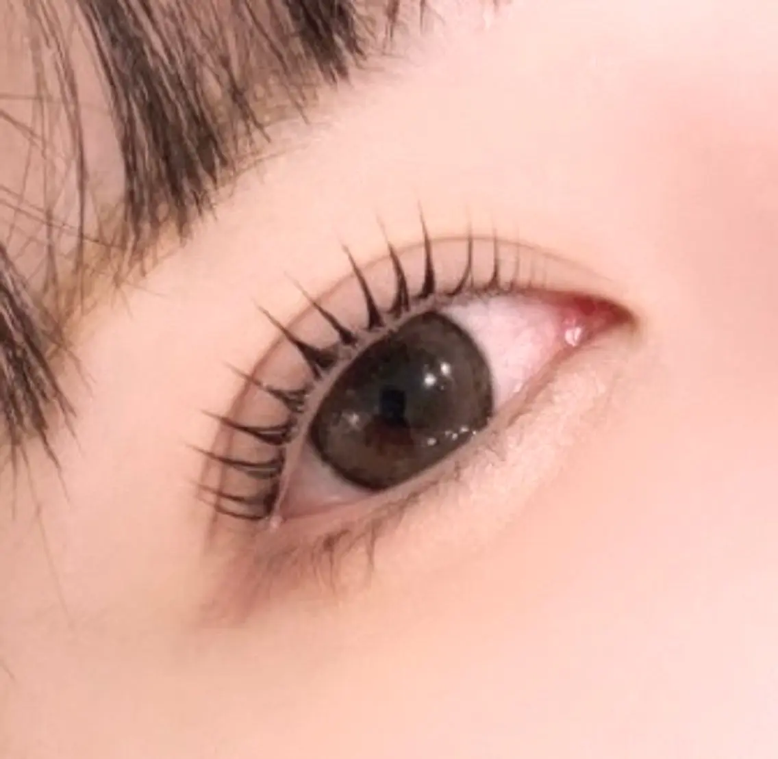 【まつげパーマ★立ち上げ×弱カール】🧸ミミドール🧸の写真