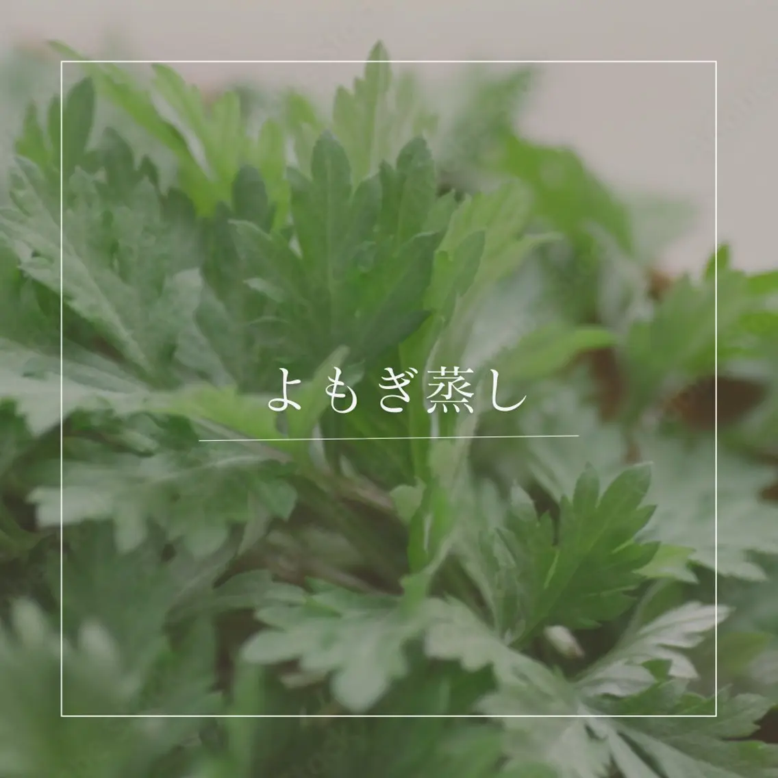 その他 FORM よもぎ蒸しのその他イメージ