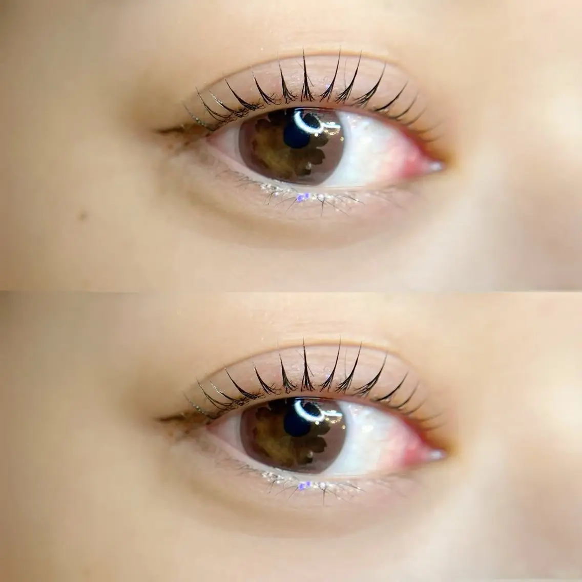 🤎【ケラチントリートメント】ダメージレスまつ毛パーマ👀🤎の写真