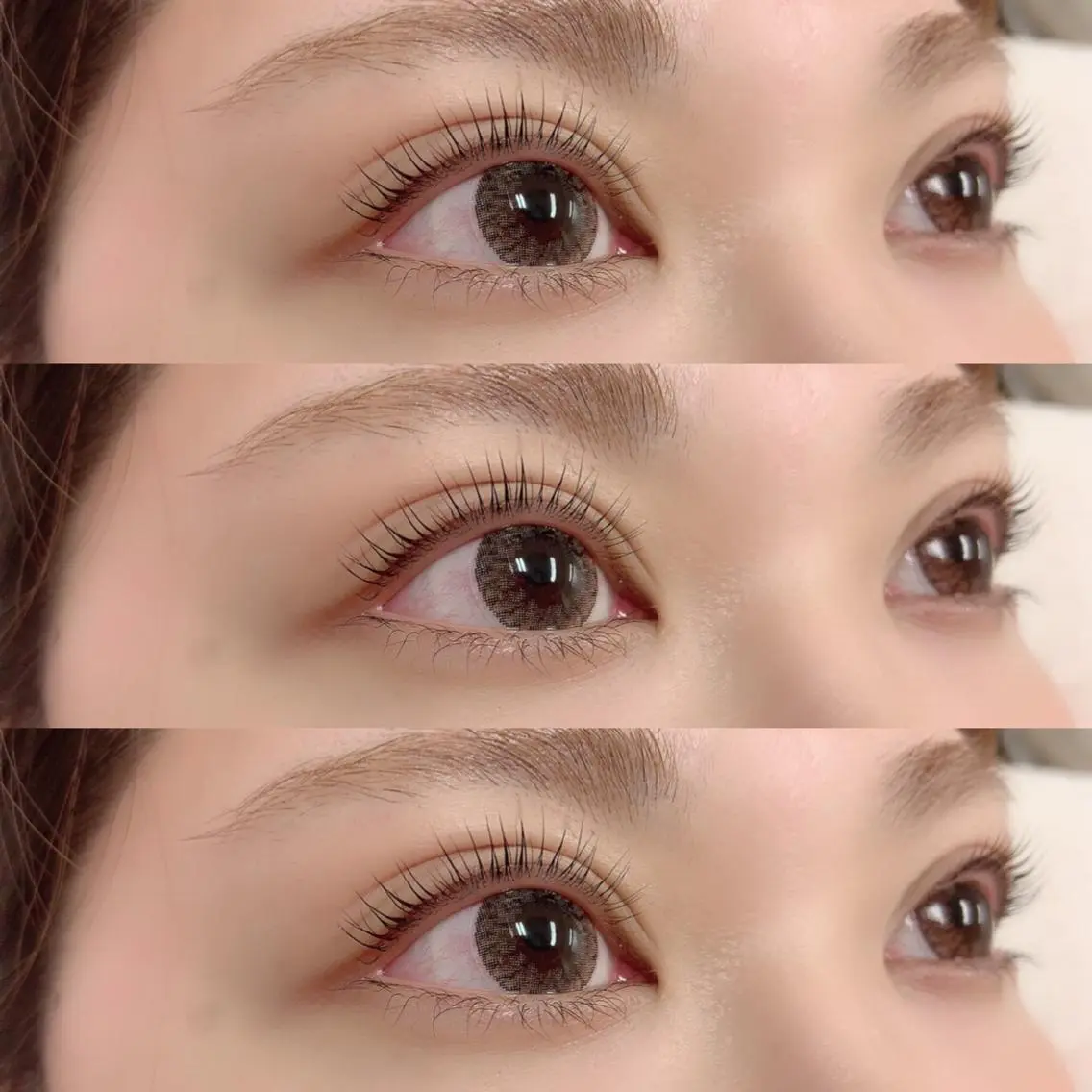 🌷Wトリートメントラッシュカール(まつ毛パーマ)トリートメント付き🌷の写真