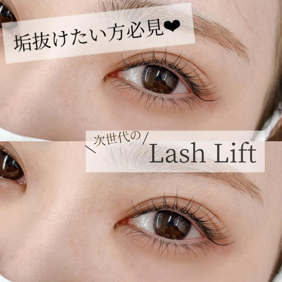 マツエク・マツパ パリジェンヌラッシュリフト マツパ BEIGE🥀金山 Yuhkiのマツエク・マツパデザイン