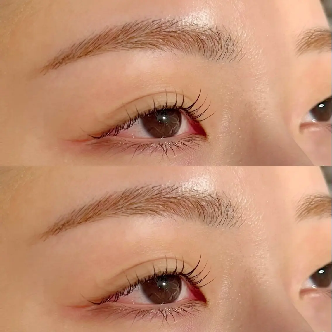 【セット割引】眉毛WAX+まつげパーマセット🤍の写真