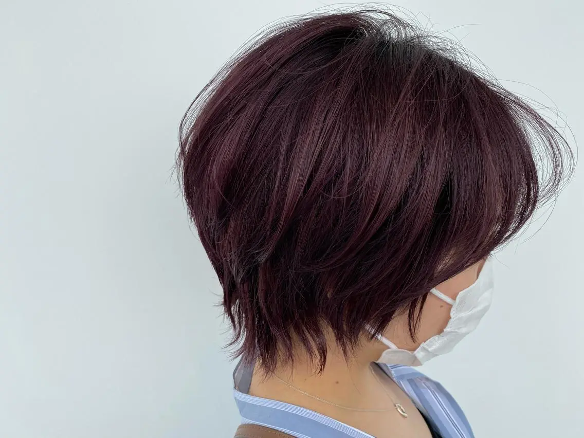 ショート カラー カシス ショートヘア ウルフカット 小岸 竜のヘアスタイル