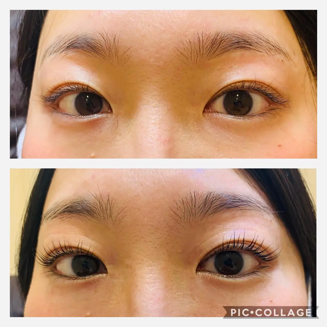 マツエク・マツパ Daisy hair eyelashのマツエク・マツパデザイン