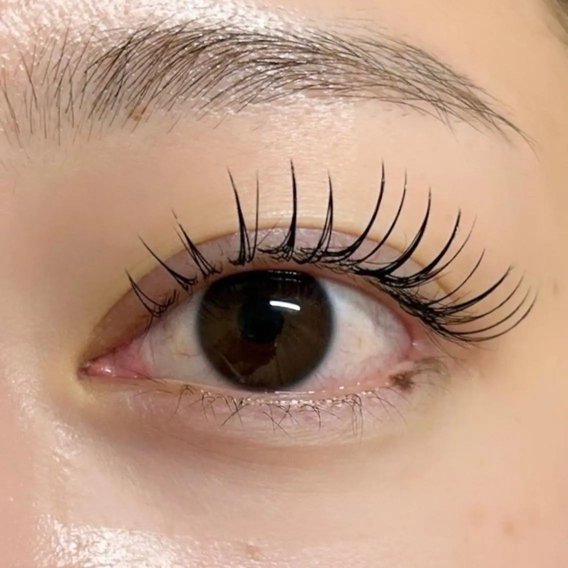 【マツエク100本‎️🩵  ̖́-】※オフなしの写真