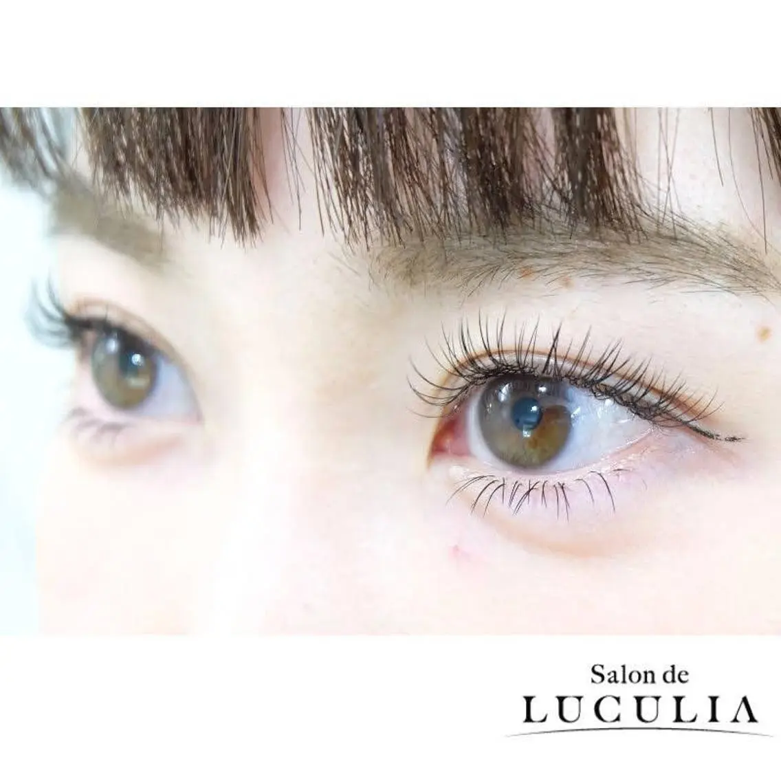 マツエク・マツパ eyelash MEGUのマツエク・マツパデザイン