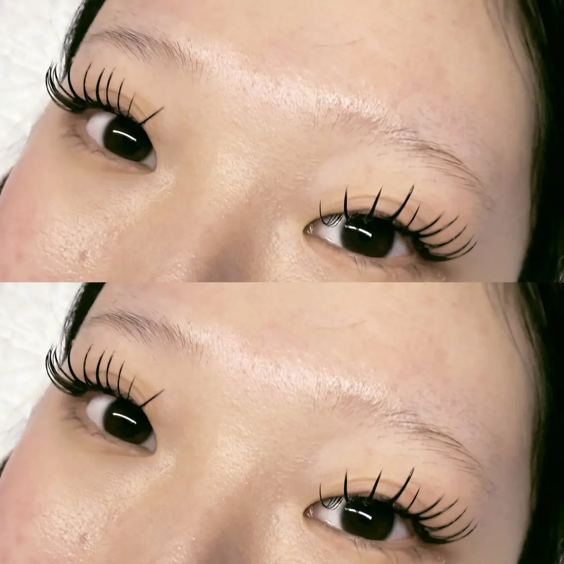 【 ダブルフラットラッシュ🤍80束(160本) 】の写真