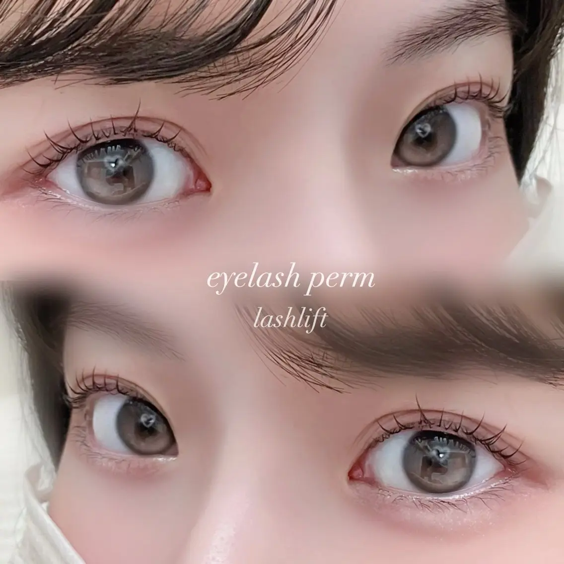 【️ご新規様限定✨】ラッシュリフト🎀コーティング仕上げの写真