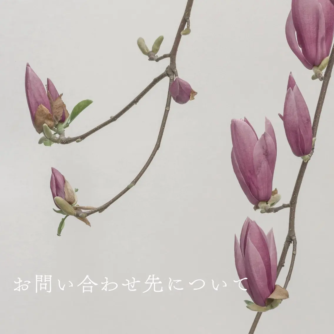 Sakai Tomomiのエステ・リラクイメージ