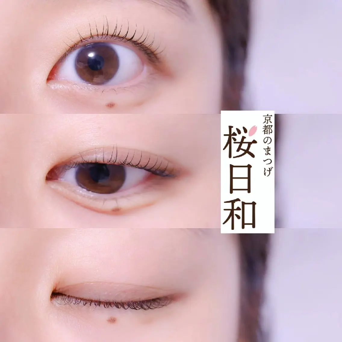 マツエク・マツパ マツパ 京都のまつげ桜日和 小島美桜のマツエク・マツパデザイン
