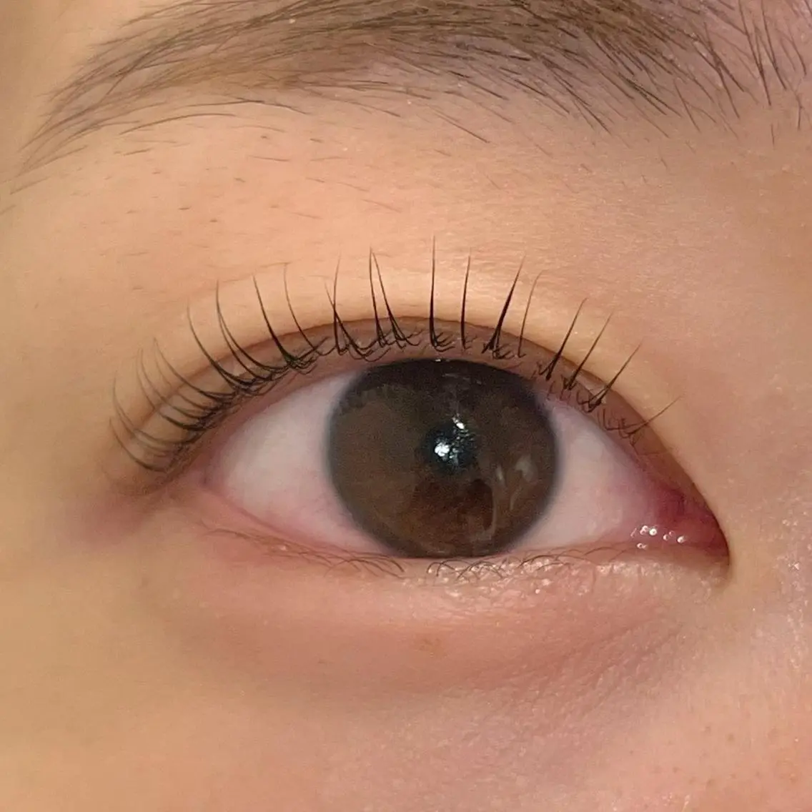 マツエク・マツパ パリジェンヌラッシュリフト まつげパーマ ai一重専門🎀束感 まつげ🫧表参道の眉毛・アイブロウイメージ