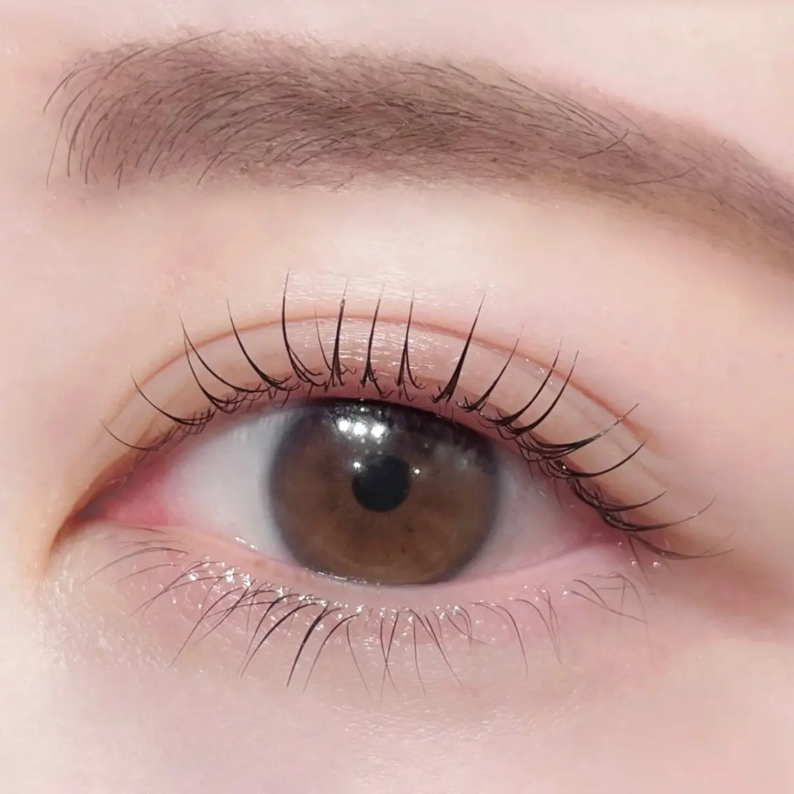 マツエク・マツパ sena /eye list⋆の眉毛・アイブロウイメージ