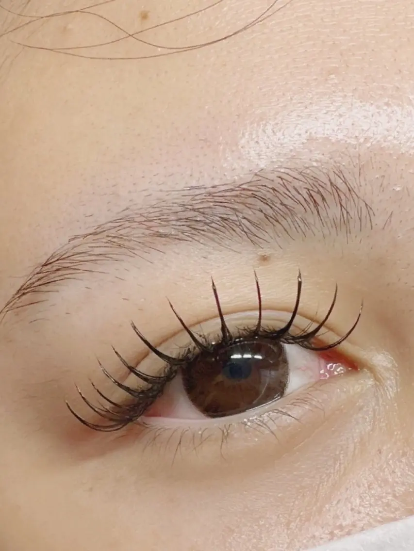 マツエク・マツパ フラットラッシュ Eyelash Hauoliの眉毛・アイブロウイメージ