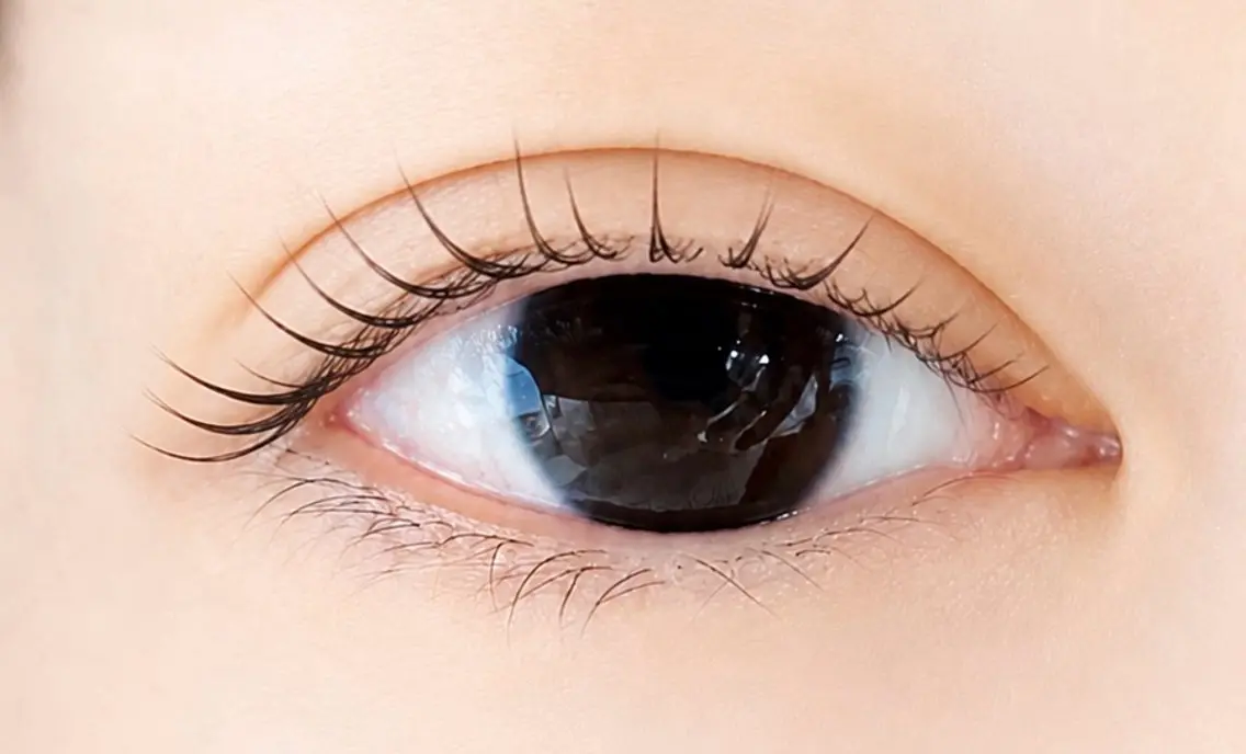 ブラックコーティング仕上げ💖オフなしラッシュリフト👀✨【上まつげパーマ】の写真