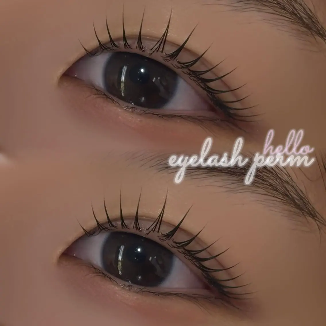 マツエク・マツパ まつげパーマ Mila新宿 🖤ma-ya🖤のマツエク・マツパデザイン