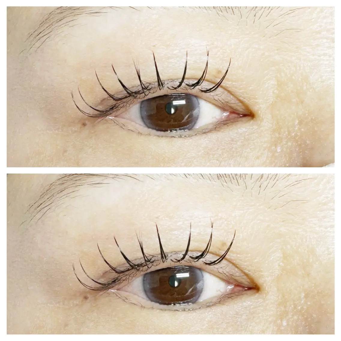 マツエク・マツパ plume eyelashのマツエク・マツパデザイン