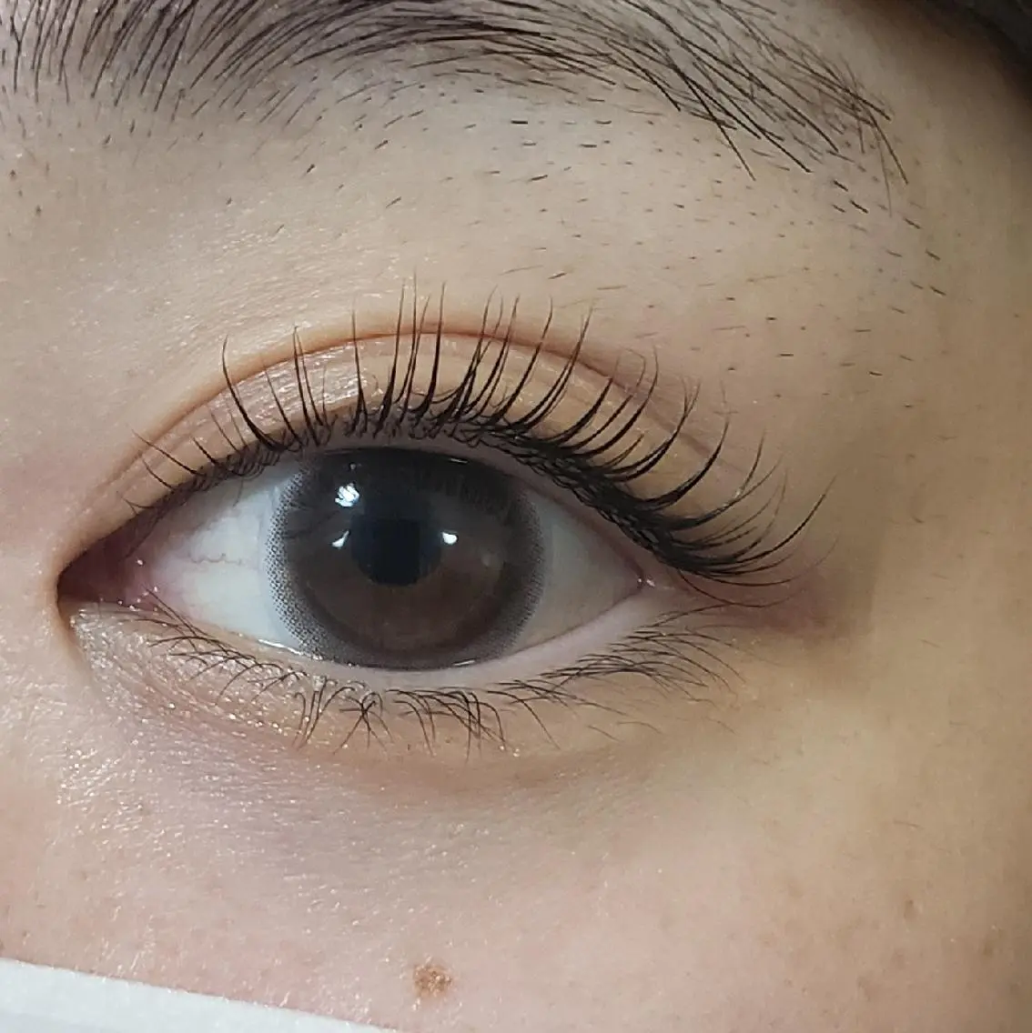 マツエク・マツパ 一重×まつ毛パーマ beckylash 札幌アカデミー 1のマツエク・マツパデザイン