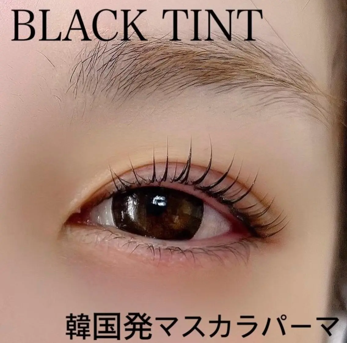 💓マスカラパーマ💓日本製ブラックティント🖤(上のみ)の写真