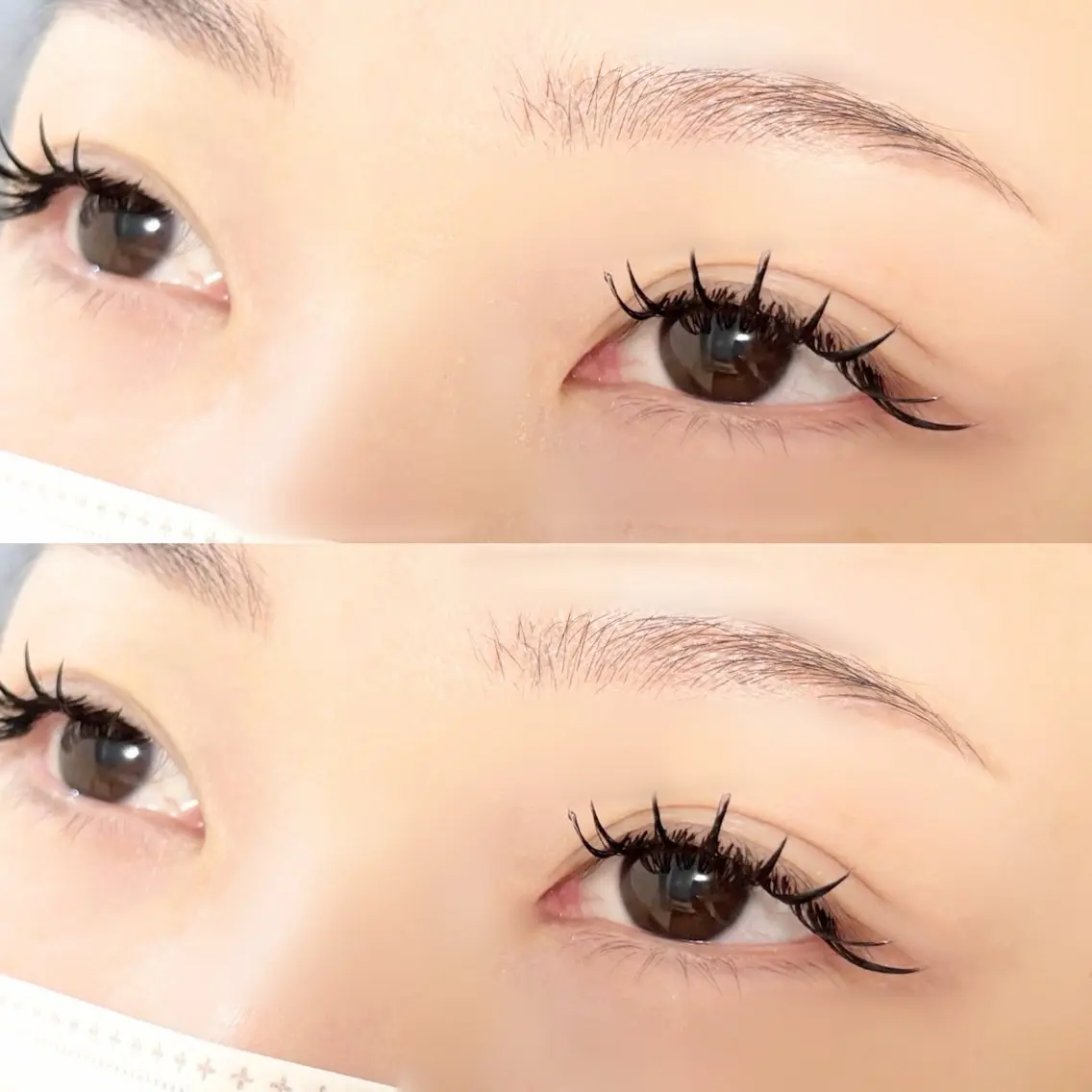 🌻垢抜けフルコース🌻バインドロック80束+眉アイブロウWAX ¥8,500の写真