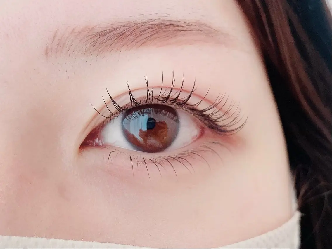 フラットラッシュ100本🌷(上下振り分け・LED変更可能)の写真