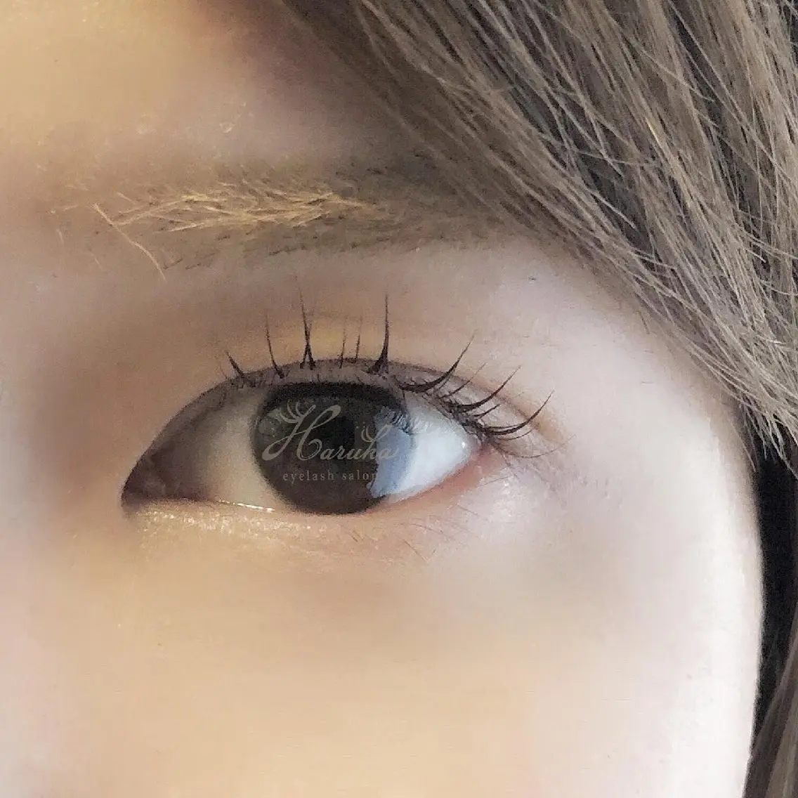 25歳まで/一重瞼の人/口コミ必須/まつ毛パーマモデル上/ 1日1名限定の写真