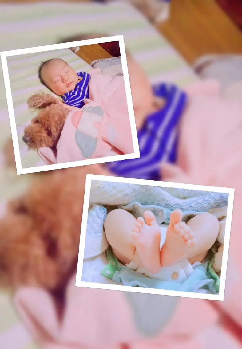 受胎の為の妊活整体 ミニモだけの限定❗️の写真
