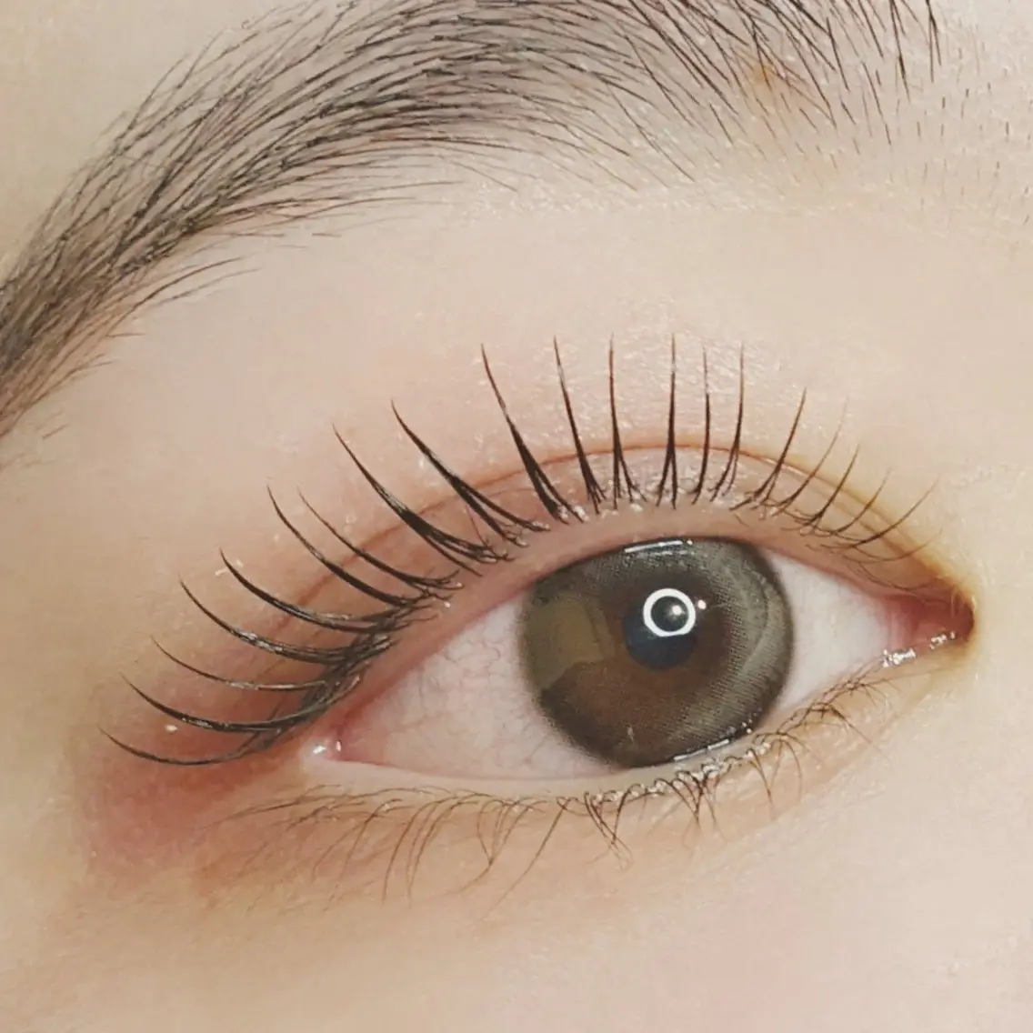 【試したい】 🌷まつ毛パーマ🌷の写真