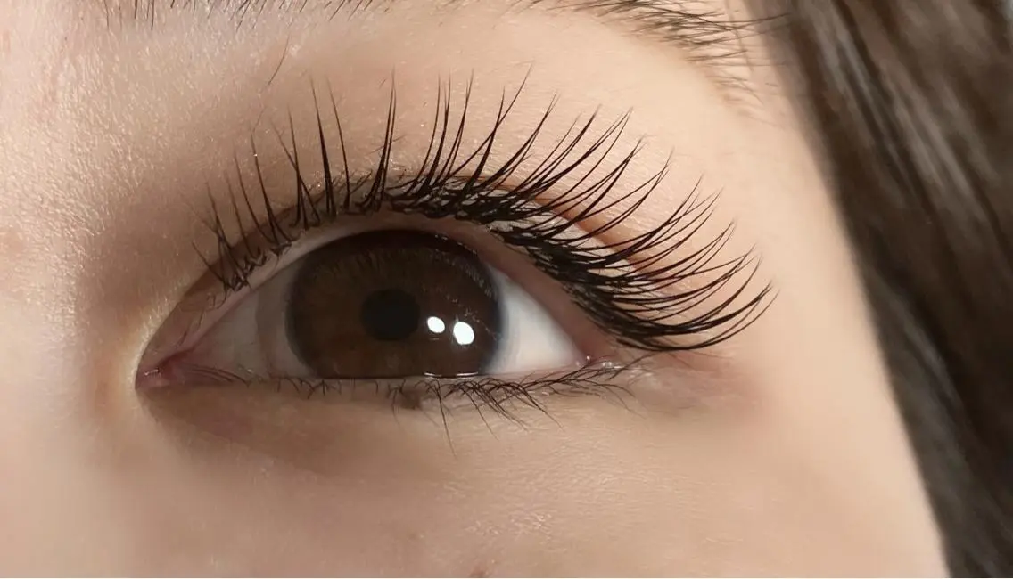 シングルラッシュ80本🌷の写真