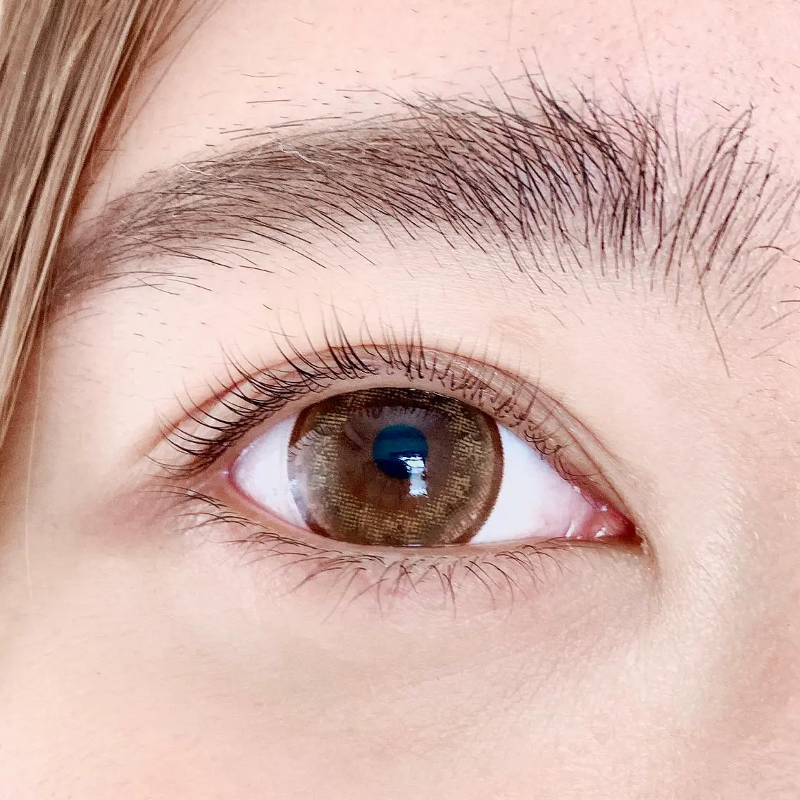 次世代まつげパーマ✨デザインラッシュリフト〈上〉コーティング付♪の写真
