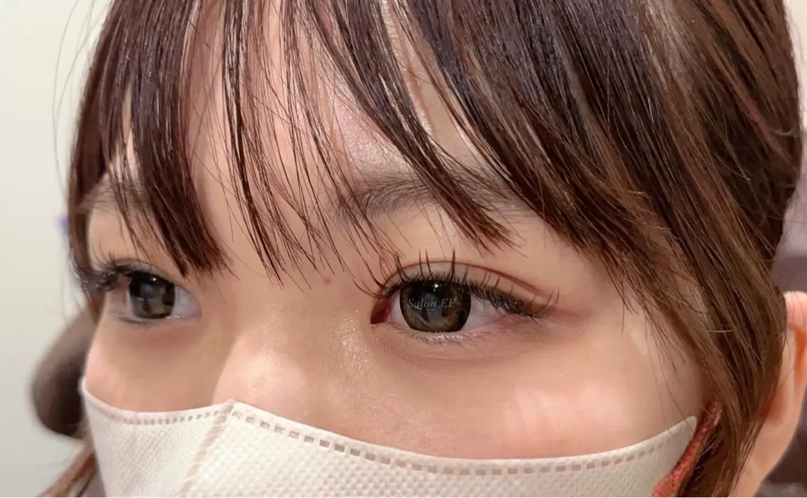 🩶フラットラッシュ50本　LED付き　オフは不可です🩶の写真