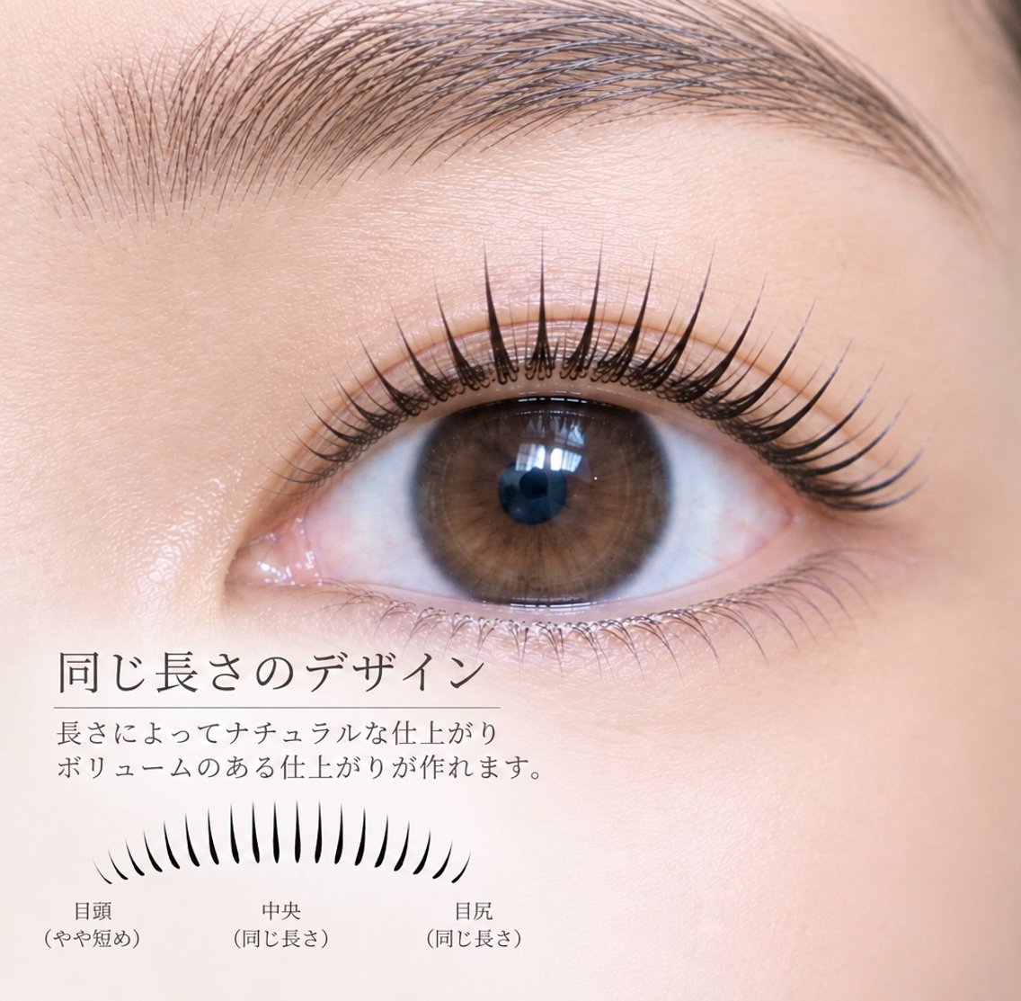 フラットラッシュ120本の写真