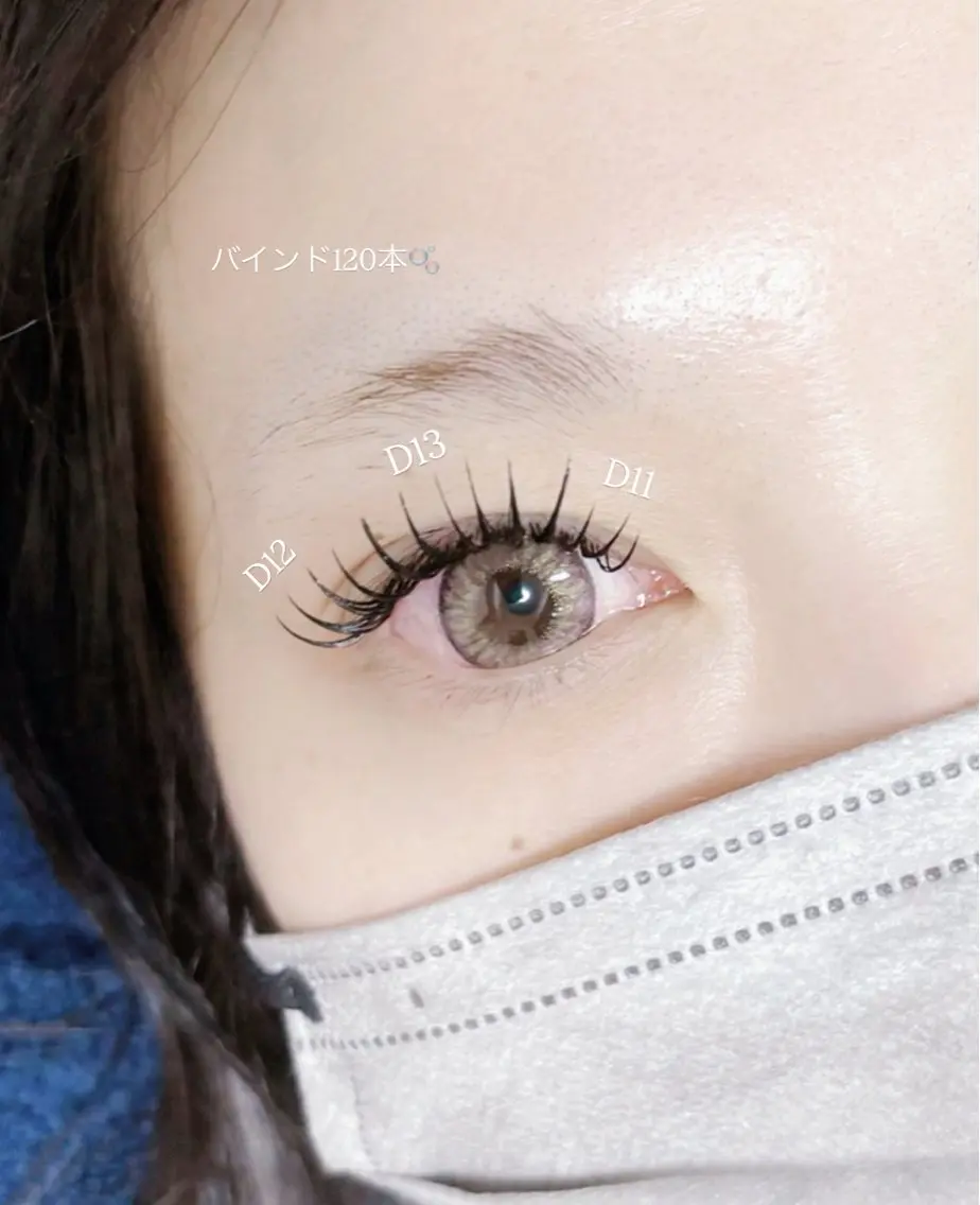 バインドロック80本(オフ込み)の写真
