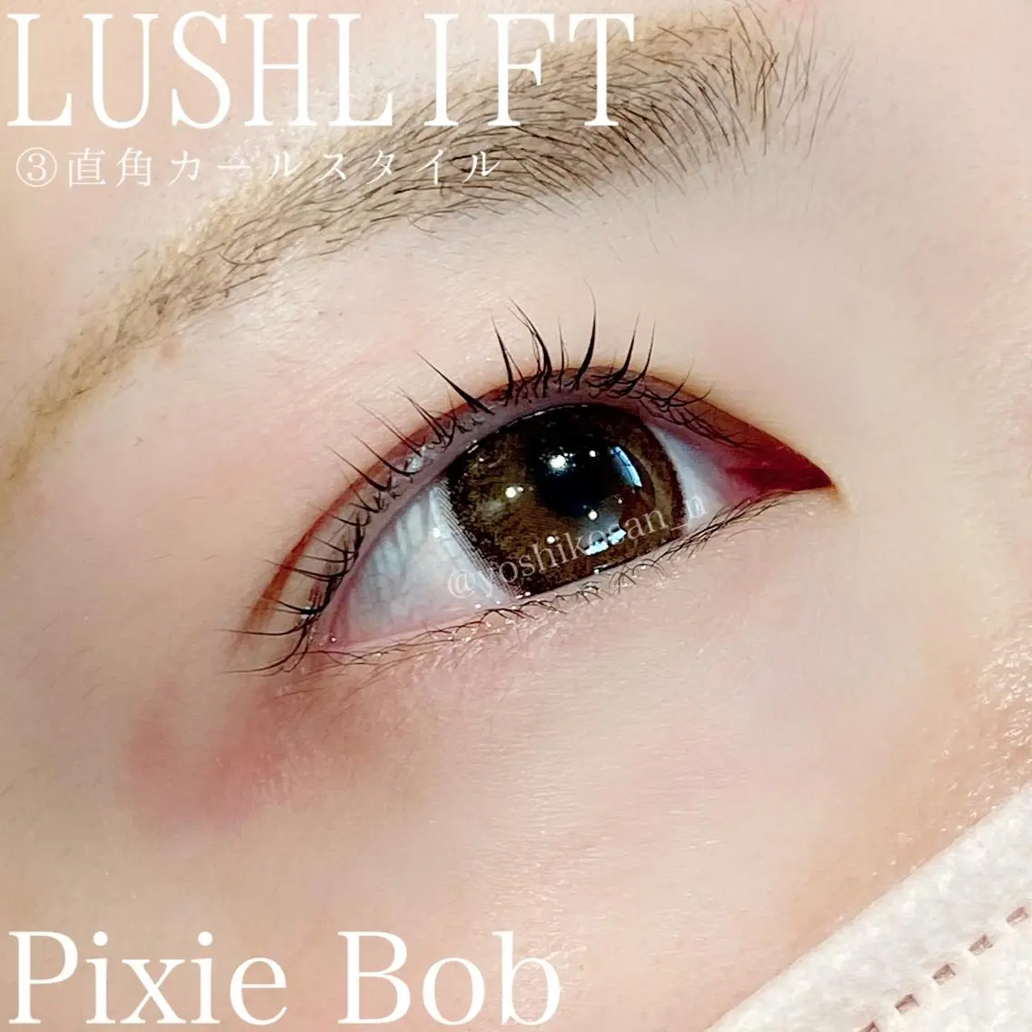 マツエク・マツパ カラーマツエク ナチュラル Pixie Bob 🐈‍⬛　位田のマツエク・マツパデザイン