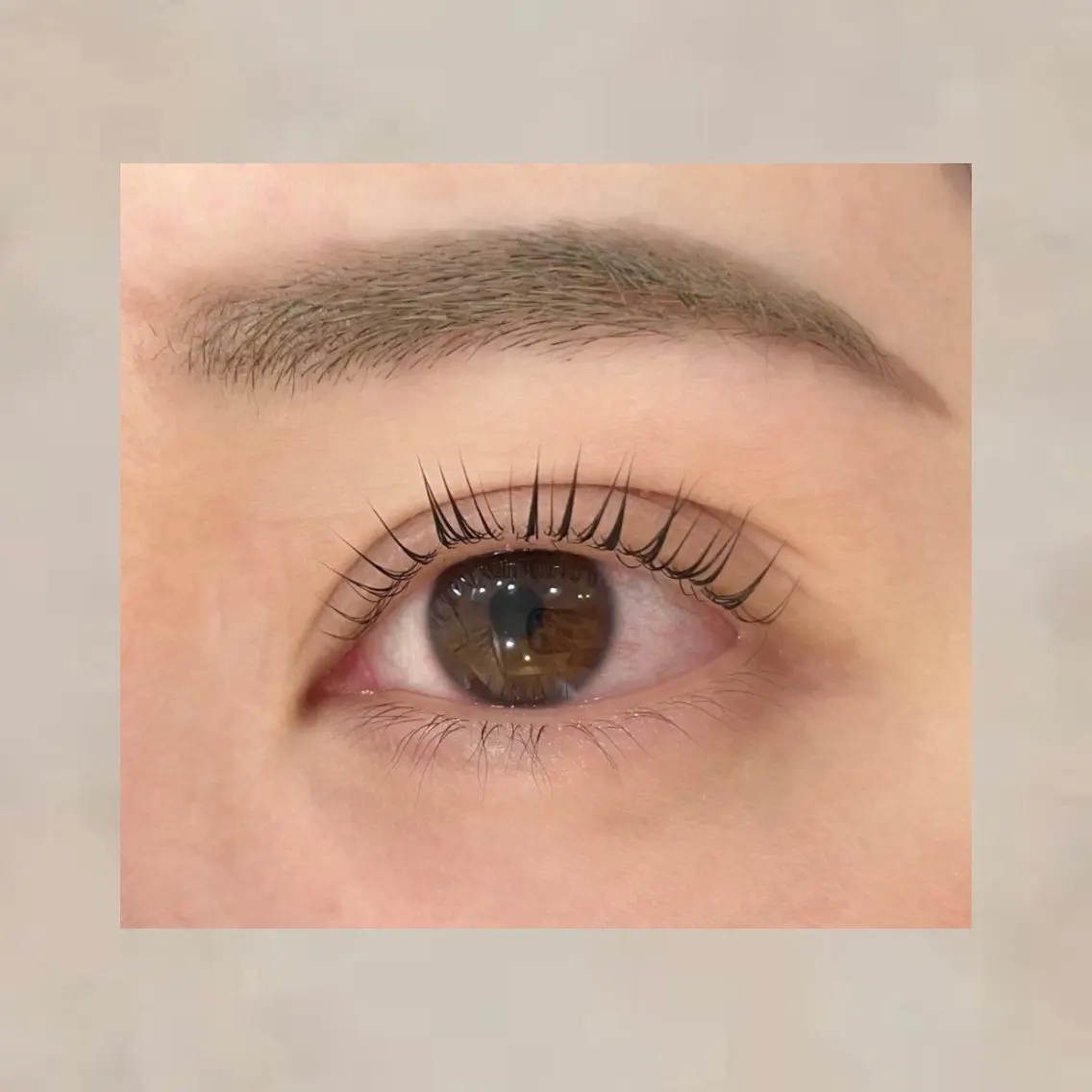 マツエク・マツパ マツパ eyelashZen 🧸Moeのマツエク・マツパデザイン