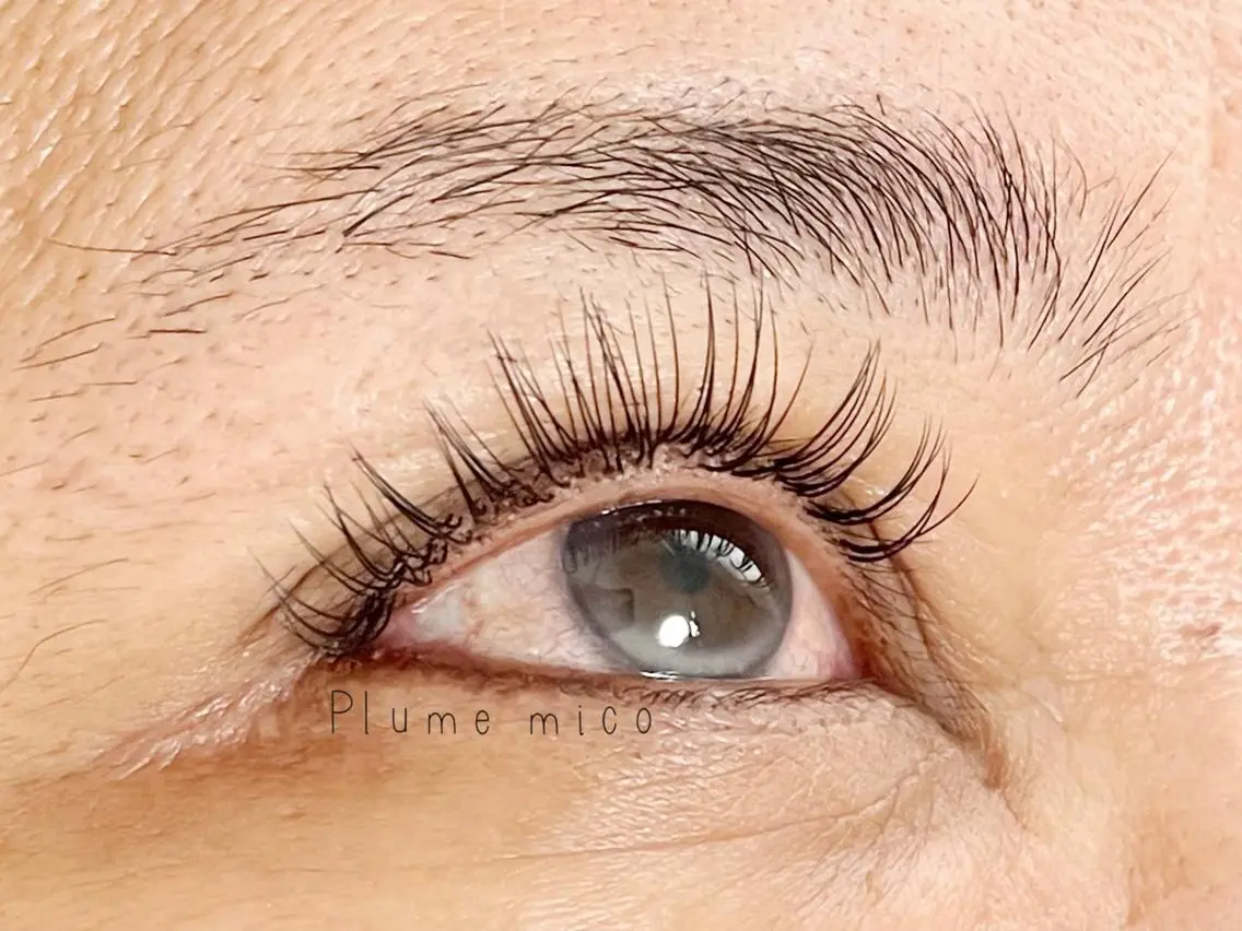 マツエク・マツパ マツエク Plume micoのマツエク・マツパデザイン