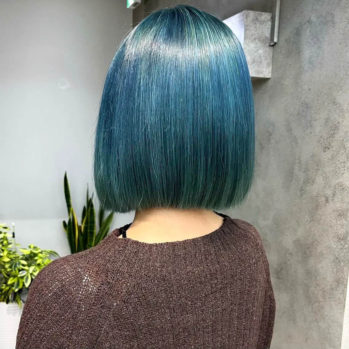 カラー ウルフ🦋顔まわり ❤︎ ͛めいのヘアスタイル