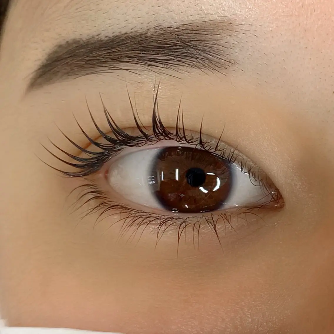 マツエク・マツパ 一重×まつ毛パーマ マツパ U too e's MANAE🌼の眉毛・アイブロウイメージ